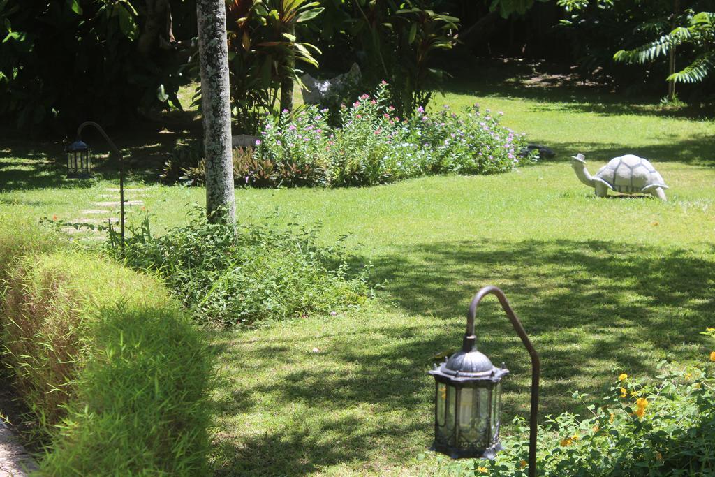 Villa Kordia Pointe Au Sel Exteriér fotografie
